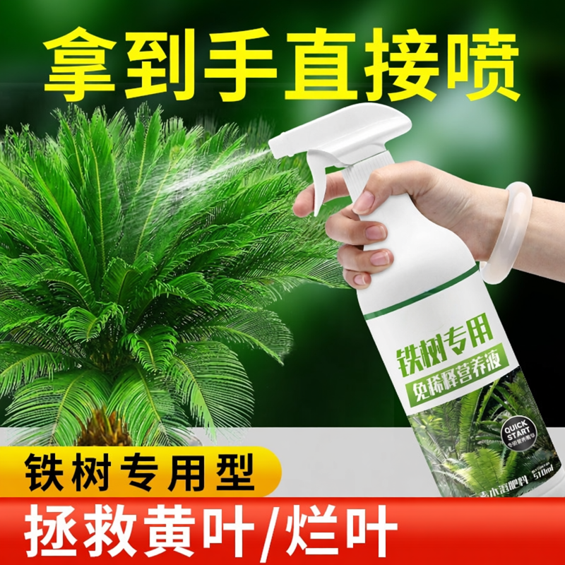 铁树专用免稀释营养液肥料防黄叶喷施促发芽助增长治枯萎卷叶干尖