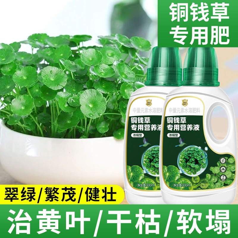 铜钱草专用营养液水培植物天胡荽专用肥料氮磷钾水溶液体肥盆栽