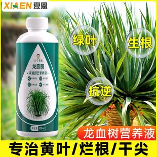 龙血树专用营养液促生长复合肥料治疗龙须树叶子发黄烂根通用型肥