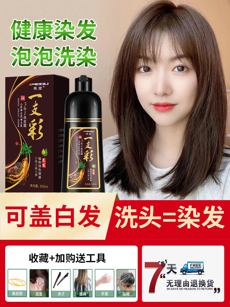 官方旗舰店一支彩天然纯植物泡泡2021流行色自己在家染发剂显白男