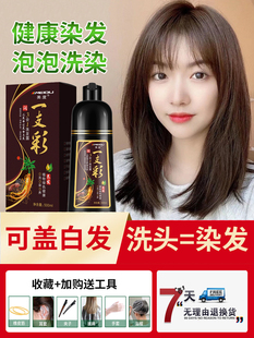 官方旗舰店一支彩天然纯植物泡泡2021流行色自己在家染发剂显白男
