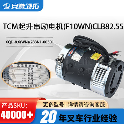 TCM起升直流电机F10WN皖南电机XQD-8.6/283N1-00301/B21E1-00301