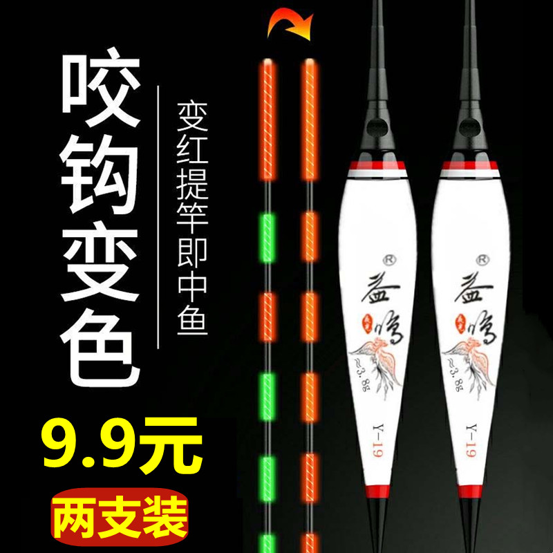 日夜两用夜光漂超亮醒目电子鱼漂