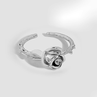 2024 fashion trend jewelry ring non-fading metal stainless