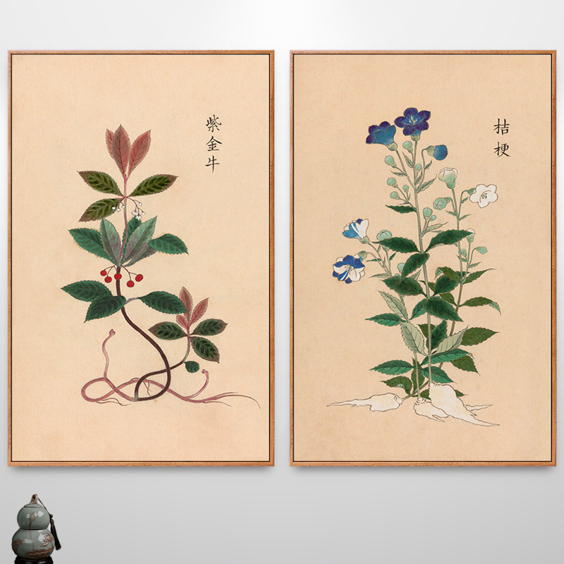 本草纲目草药植物图药房中医馆挂画新中式装饰画走廊过道竖版壁画图片