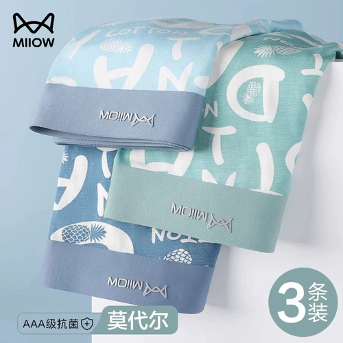 Антибактериальные трусы, штаны, подходит для подростков