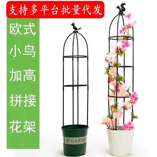 昙花专用支架月季花架园艺爬藤花植物铁线 线莲紫藤攀爬阳台撑欧