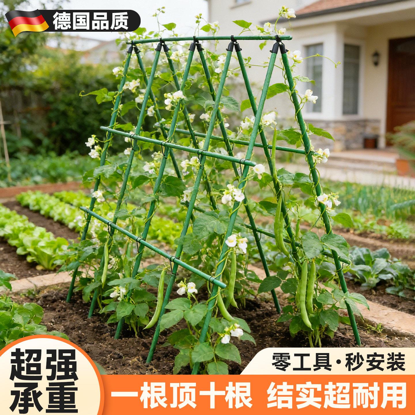 豆角爬藤架黄瓜架杆丝瓜蔬菜搭棚支架葡萄架子庭院户外固定支撑架