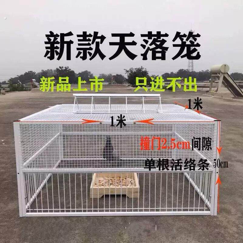 鸽子诱捕器天落笼只进不出鸽子笼加密收鸽笼活络门户外自动收鸽器