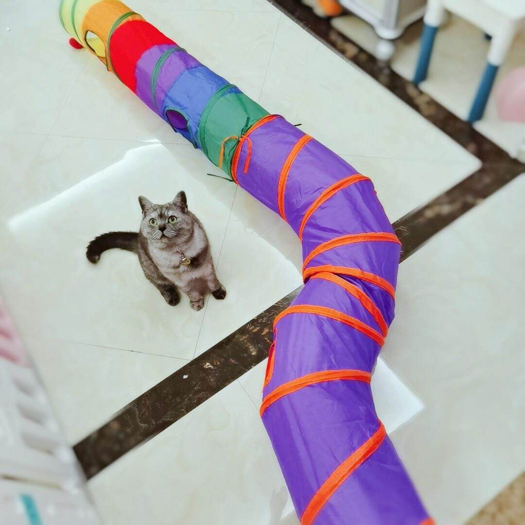 吸猫!滚地龙隧道猫窝钻洞通道折叠帐篷可水洗四季通用宠物猫咪玩
