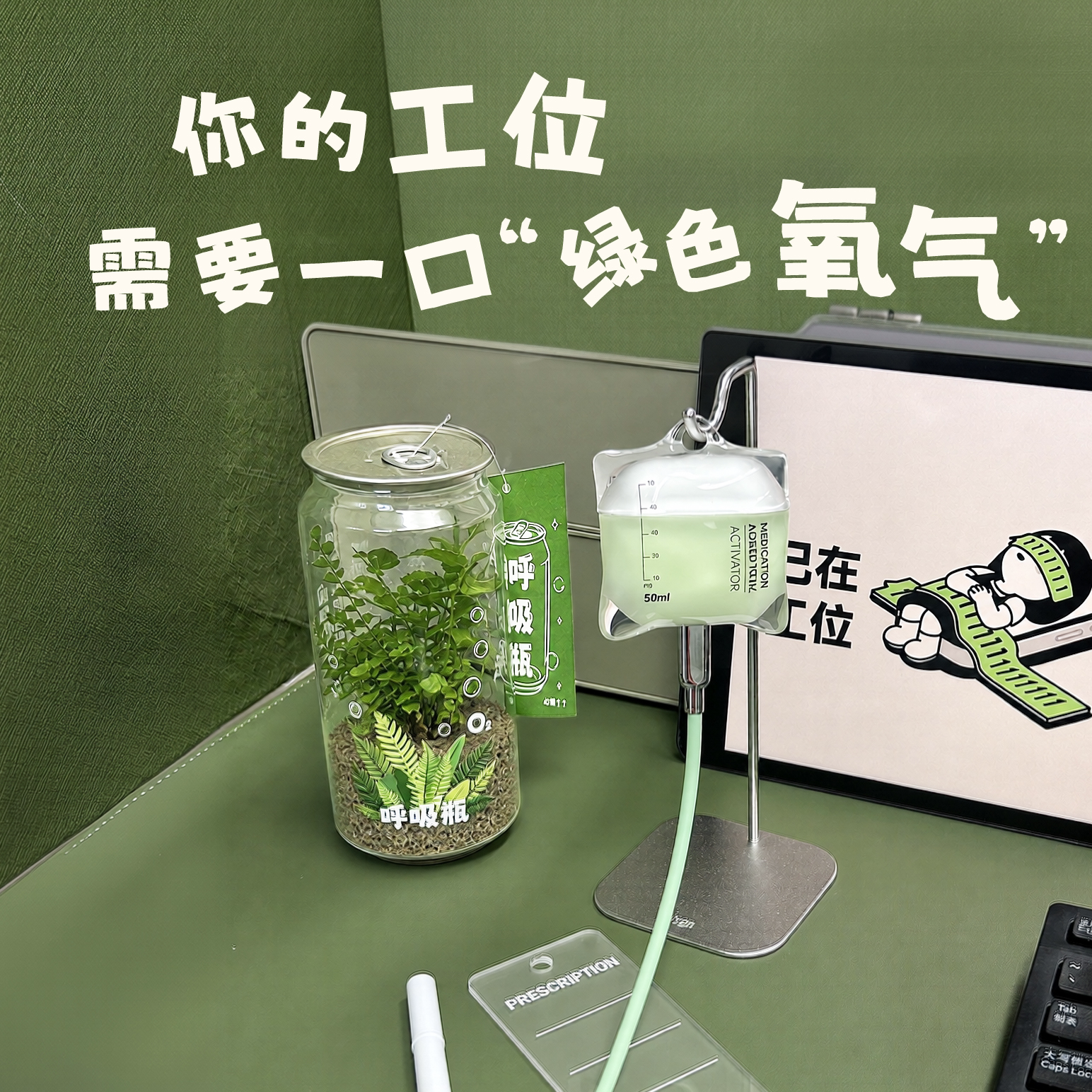 迷你呼吸瓶盆栽桌面微景观净化