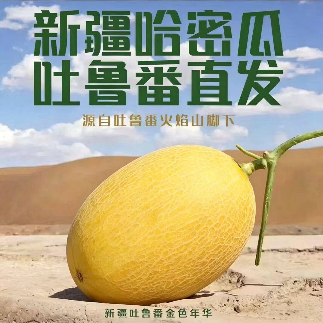 【新疆一级果直发】正宗火焰山哈密瓜吐鲁番新鲜水果蜜甜果香浓-1