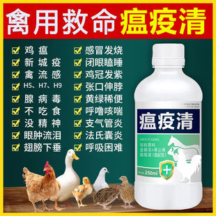 家禽瘟疫清鸡药大全拉稀特效小鸡感冒咳嗽翅膀下垂新城疫呼噜喘气