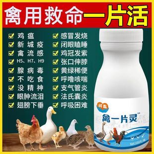 禽一片鸡病全治养鸡专用药鸡瘟感冒流感拉稀咳嗽鸡鸭鹅药大全禽药
