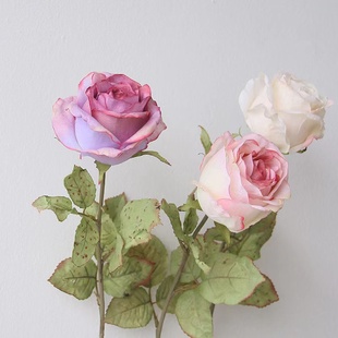 复古焦边玫瑰客厅餐桌摆设假花花束插花摄影仿生花 仿真花法式
