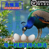 孔雀蛋食用富硒新鲜孔雀蛋营养孕妇宝宝老人农村散养凤凰蛋 包邮