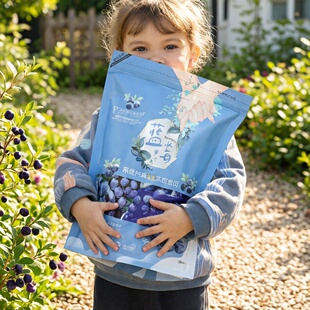 蓝莓干果干500g小包装黑龙江伊春兴安岭东北特产非野生新鲜兰梅干