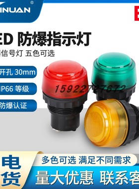 803060防爆信号灯指示灯DC24V36VAC220V380V红绿防爆配电箱LED灯