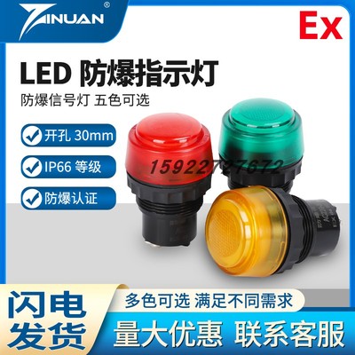803060防爆信号灯指示灯DC24V36VAC220V380V红绿防爆配电箱LED灯
