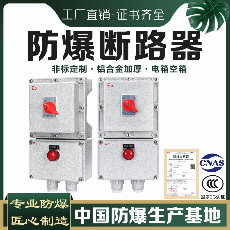 BDZ52防爆断路器10A16A20A32A63A100A漏电2P3P4P防爆开关箱220V