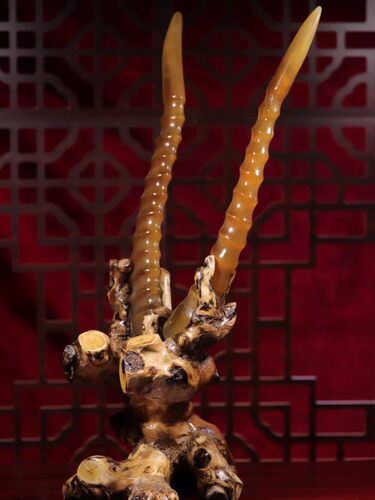 纯天然西藏0羊角原角真品实心高档次开业送礼文玩收藏摆放田园