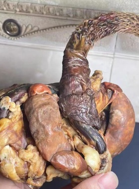 泡酒料鹿鞭干鹿茸片男性男用人参