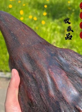 鱼子纹披毛犀角纹路清晰摆件把玩