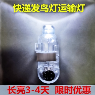 迷你发货照明鸟笼小夜灯玩具长时间邮鸟灯运鸟灯小型发鸟灯运输灯