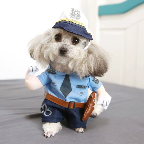 Собаки смешная и забавная одежда кот милый домашний котенок