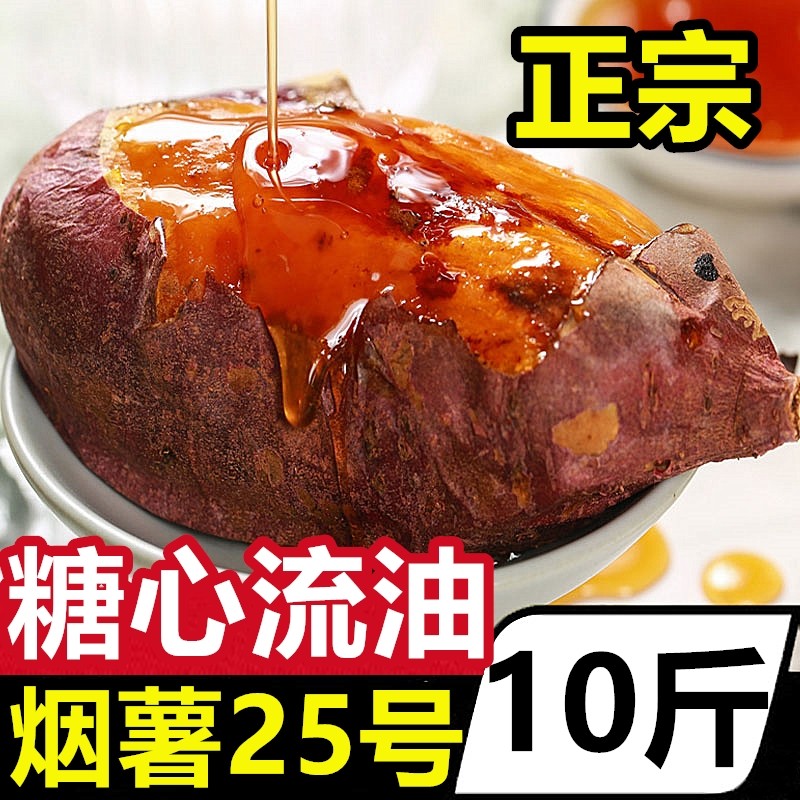 现挖烟薯25号糖心烤红薯新鲜冰淇淋蜜薯板栗红心地瓜番薯农家自种
