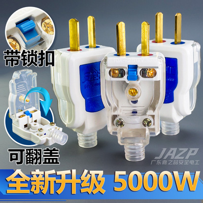 【质保3年】可旋转插头二脚纯铜插销大功率用电活动二脚家用插头