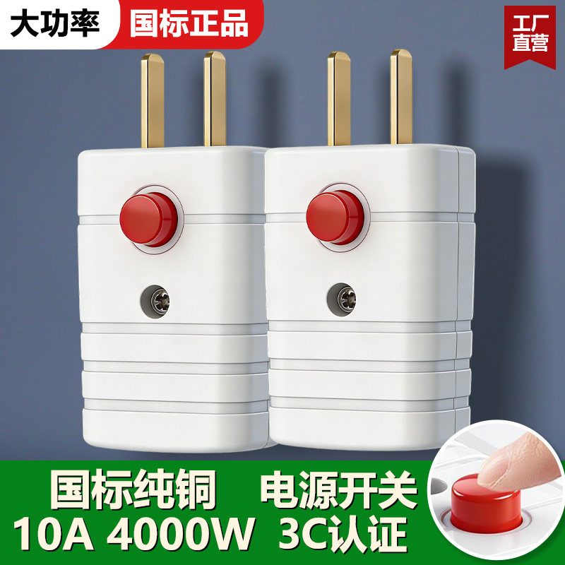 国标电工纯铜10A二极带开关插头电源风扇电动车插头二脚插销接头