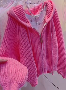 短款连帽针织开衫女2023秋冬新款洋气流行时尚外穿慵懒风拉链毛衣