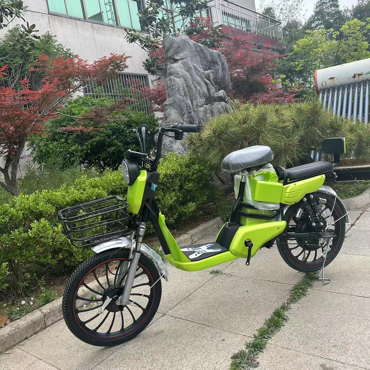 跨境新国标电瓶车男女通用代步电动自行车新款可带人长跑电动车