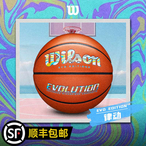 Wilson威尔胜EVOLUTION篮球