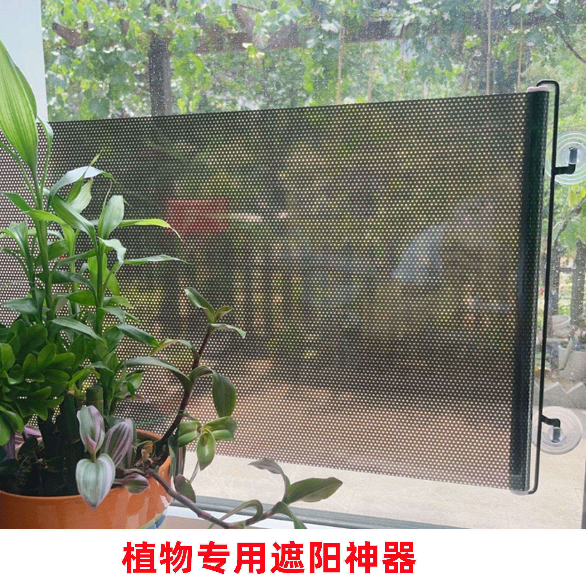 植物遮阳神器防晒隔热帘养花卉专用多肉遮阳帘阳台窗户汽车免打孔