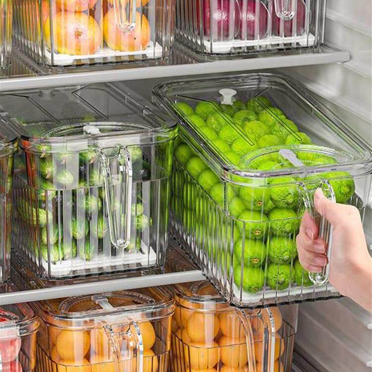 冰箱收纳盒食品级整理神器鸡蛋水果蔬菜专用储物柜饺子保鲜冷冻盒