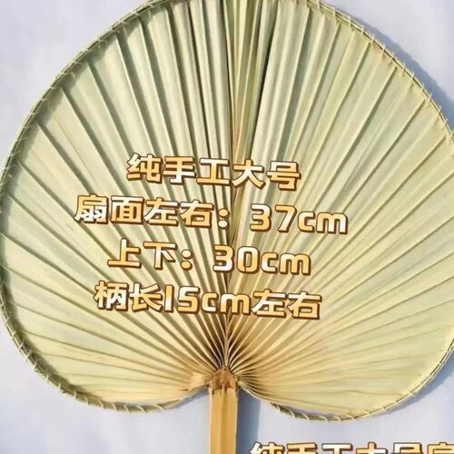 蒲扇新款扇子夏天耐用芭蕉叶蒲葵扇凉快风大手编蒲扇大尺寸结实日