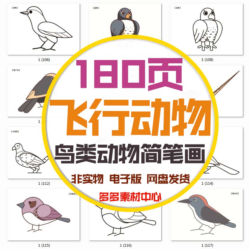 儿童飞行动物简笔画鸟类动物卡通涂色线稿画填色彩图对照电子素材