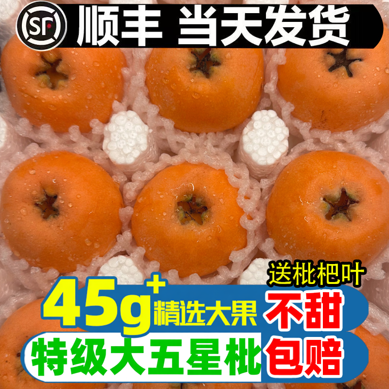 四川枇杷大五星新鲜水果包邮米易当季批把5斤大果孕妇琵琶果礼盒