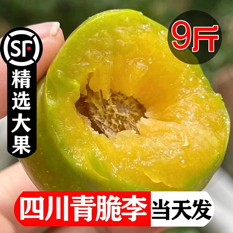 四川脱骨李子新鲜水果当季9斤
