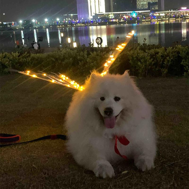 狗狗蝴蝶翅膀宠物发光翅膀小狗夏天衣服装饰萨摩耶哈士奇中型犬