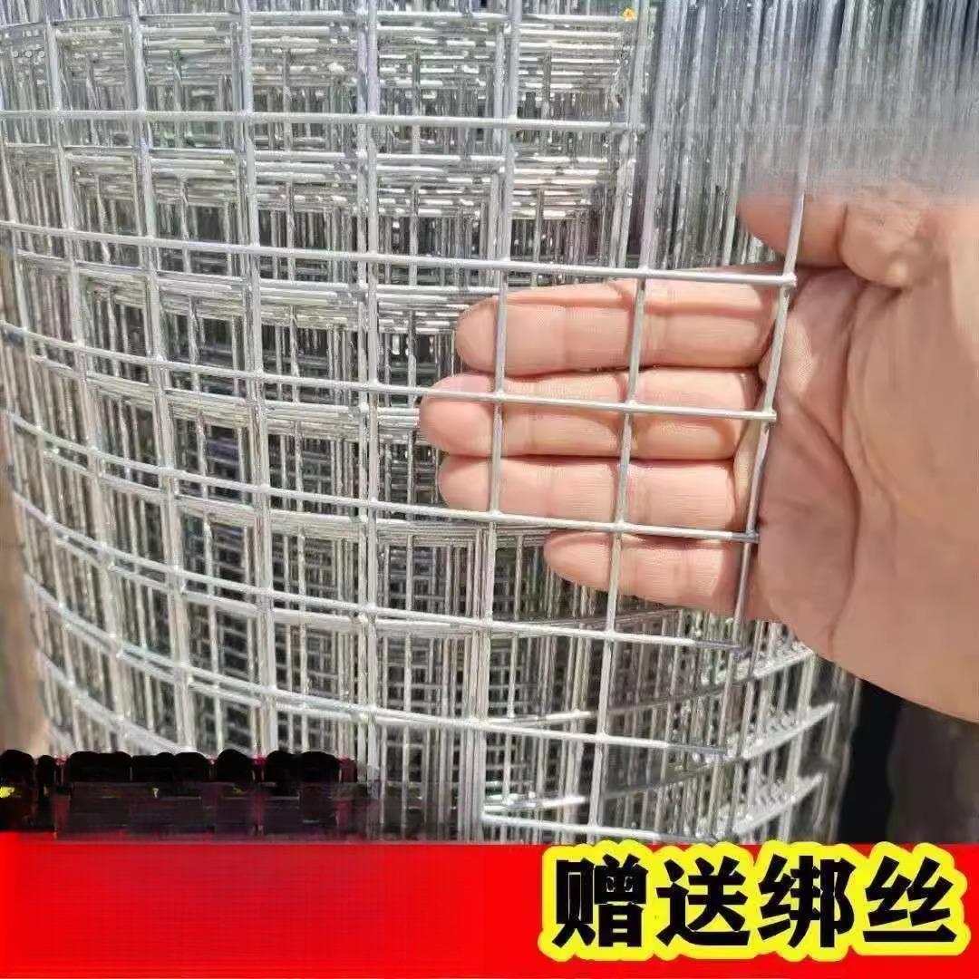 热镀锌铁丝网围栏网养殖网钢丝网拦鸡网建筑网防护网铁网格玉米网