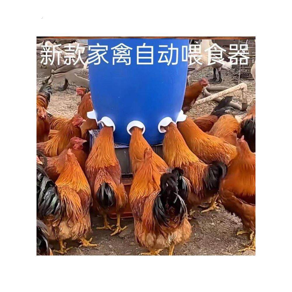 鸡鸭喂料机新型加厚自动喂料机懒人喂料斗式人禽喂鸡自动喂料机