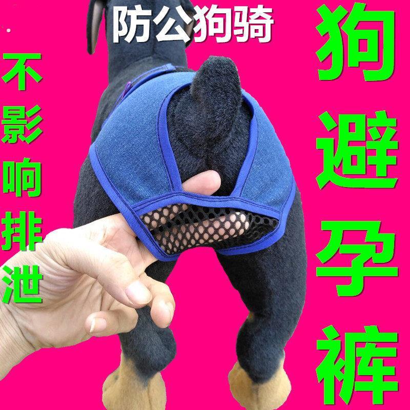 母狗生理裤子狗狗避孕月事裤衣服装宠物防骚扰狗绝育例假狗防交配