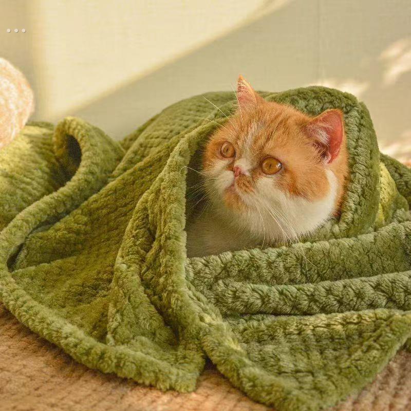 马尔济斯专用毛毯宠物小狗狗冬天睡觉小被子毯子垫子小型幼犬用品