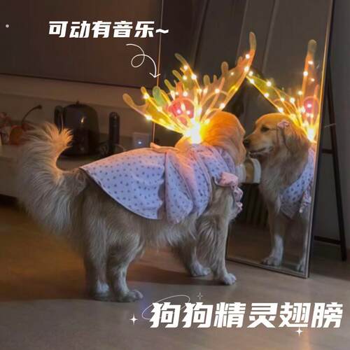狗狗发光电动蝴蝶翅膀背饰可煽动带音物猫咪衣服拍照天使背带