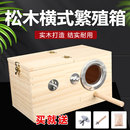 鸚鵡繁殖箱立式 虎皮玄鳳鸚鵡鳥窩鸚鵡窩鳥籠外懸掛保暖繁殖窩 豎式