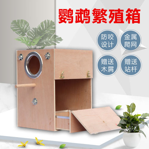 辞迈鹦鹉繁殖箱下蛋窝