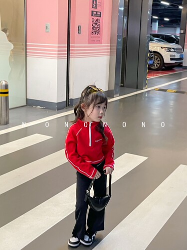 NONOCHILD港风立领拉链套头卫衣
